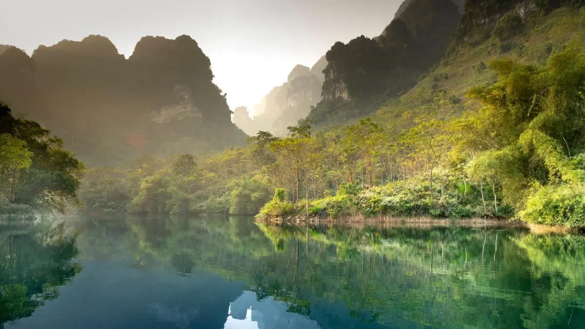 高端高标准智能